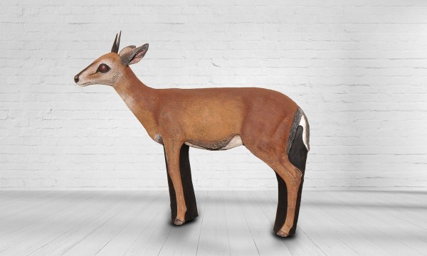 Duiker