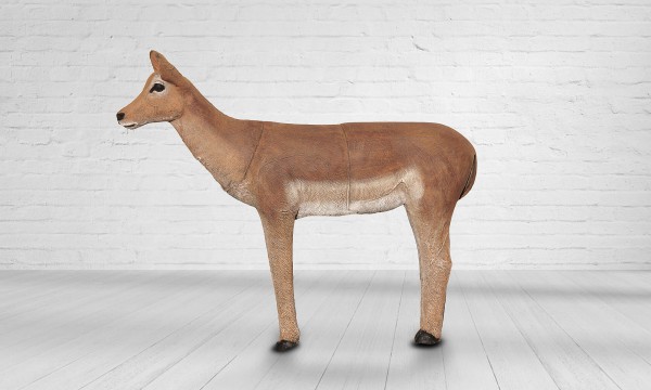 Impala weiblich