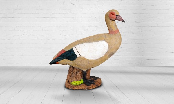 Ägyptische Gans