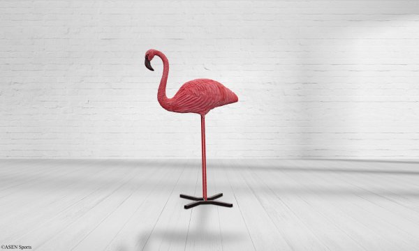 Flamingo stehend