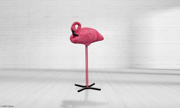 Flamingo schlafend