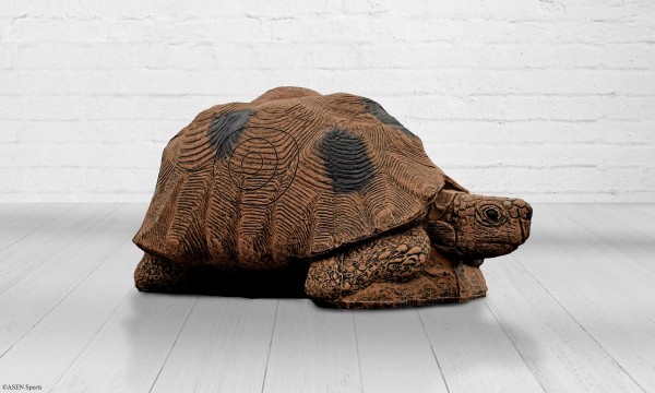 Schildkröte