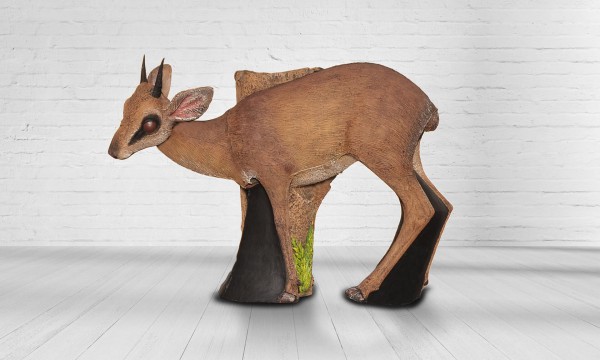 Damara Dik-Dik mit Eichhörnchen