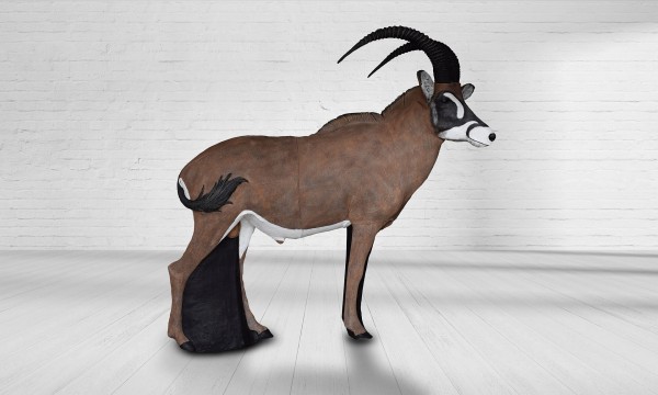Pferdeantilope
