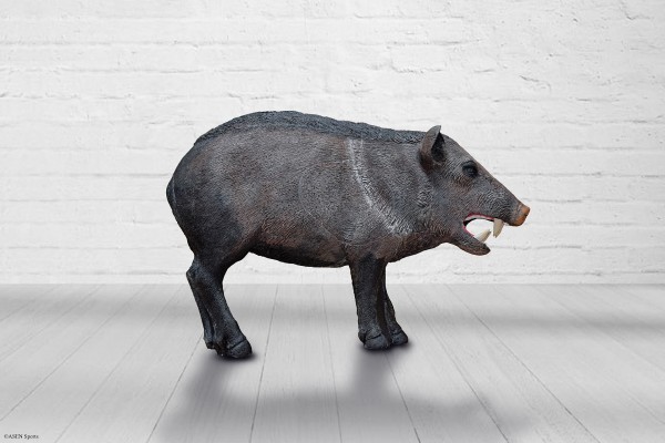 Javelina
