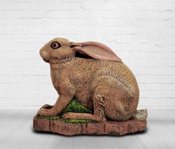 Hase