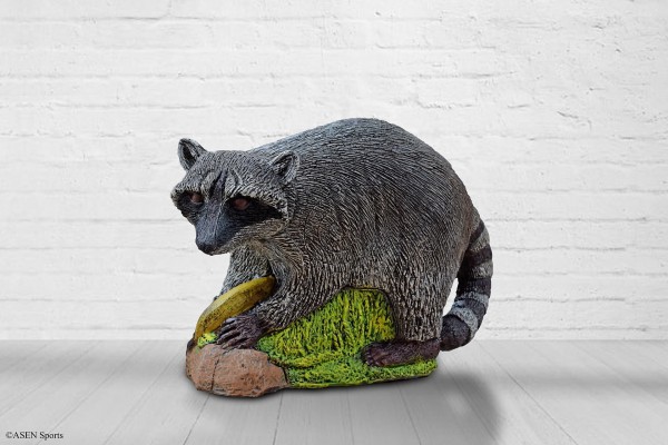 Waschbär