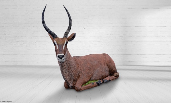 Liegender Wasserbock