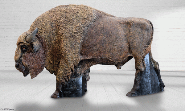Europäischer Wisent