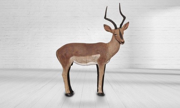 Impala männlich