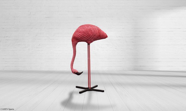 Flamingo fressend